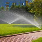 sprinkler of automatic watering in garden