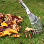 Seasonal Cleanups image