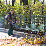 Fall Cleanup Services