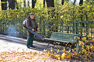 Fall Cleanup Services