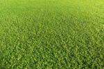 Hydroseeding & Premium Sod in Howell