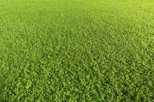 Hydroseeding & Premium Sod in Howell