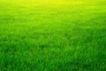 Howell Smart Irrigation System