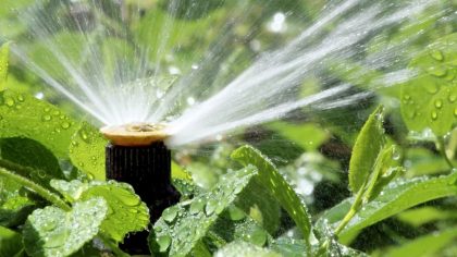 Irrigation for homeowners